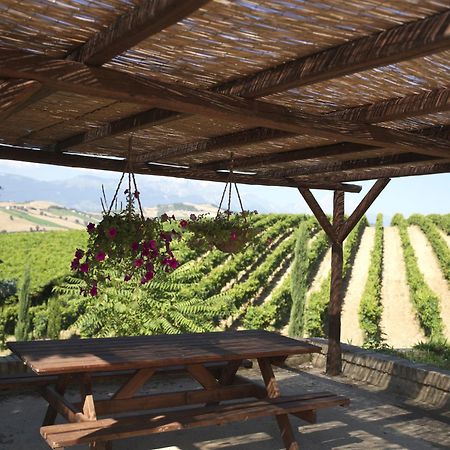 Contado San Lorenzo B&B And Wine Castilenti エクステリア 写真