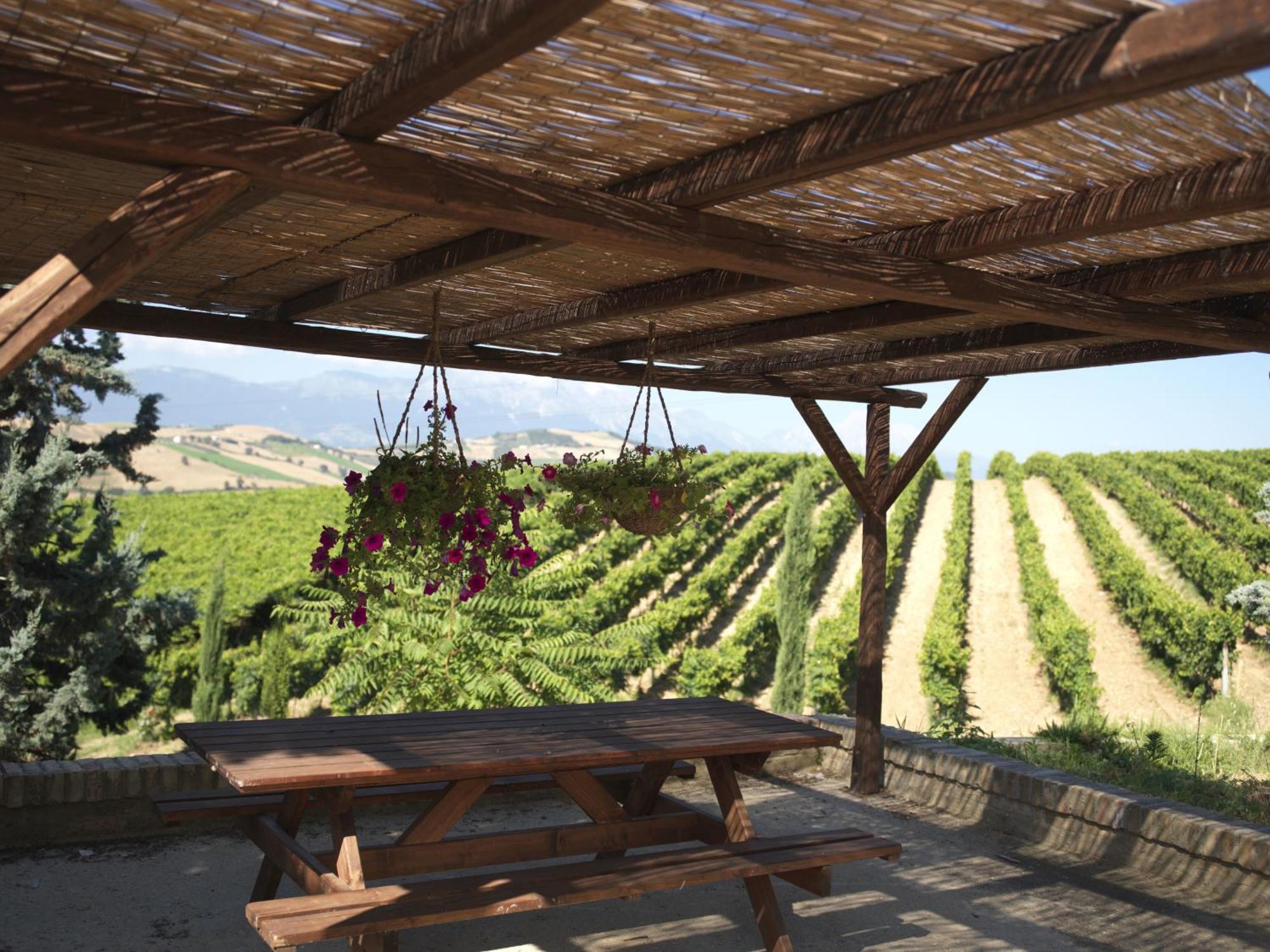 Contado San Lorenzo B&B And Wine Castilenti エクステリア 写真