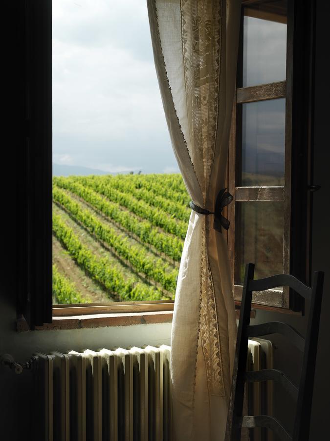 Contado San Lorenzo B&B And Wine Castilenti エクステリア 写真