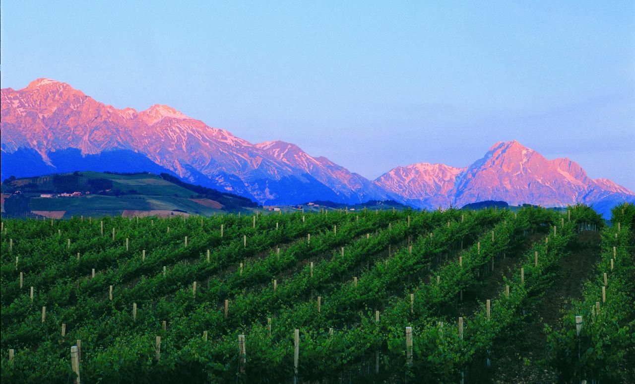 Contado San Lorenzo B&B And Wine Castilenti エクステリア 写真