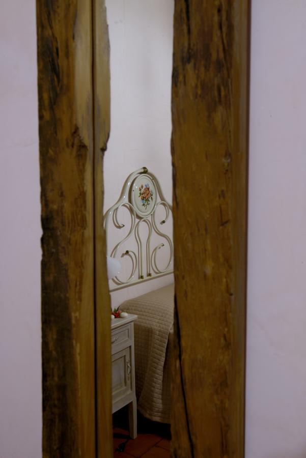Contado San Lorenzo B&B And Wine Castilenti エクステリア 写真